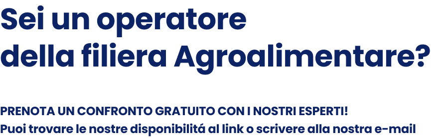 3 sezione testo